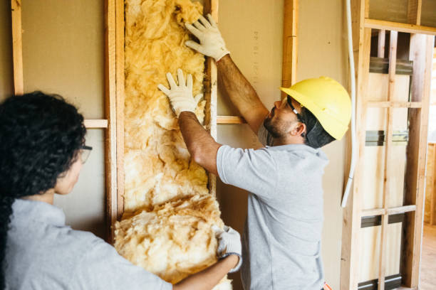 Best Radiant Barrier Insulation  in Pearl River, LA